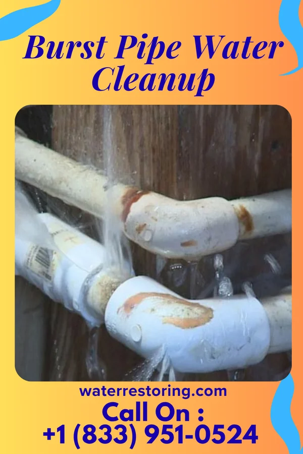 Burst Pipe Water Cleanup in Lewes, DE
