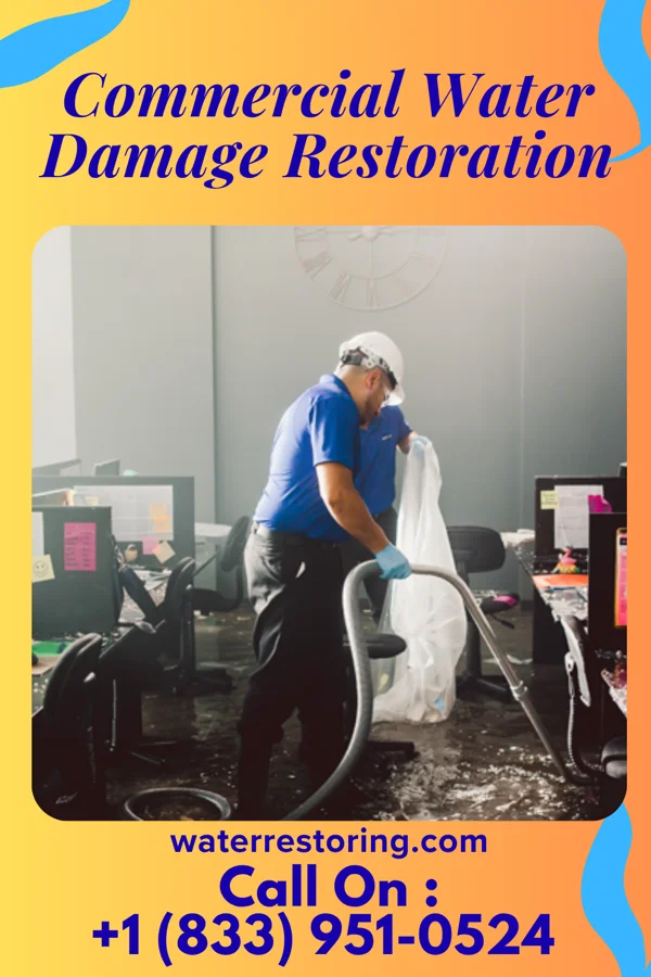 Commercial Water Damage Restoration in Lewes, DE