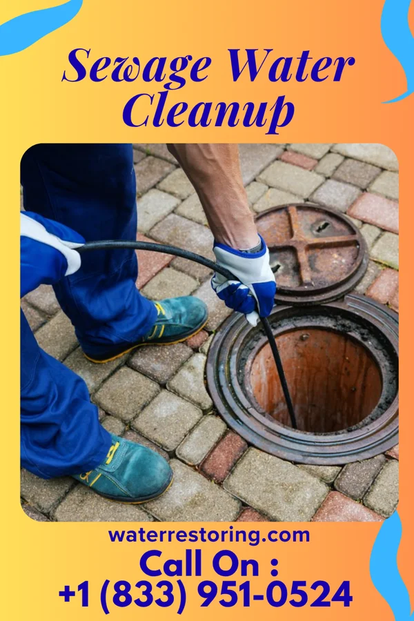 Sewage Water Cleanup in Lewes, DE