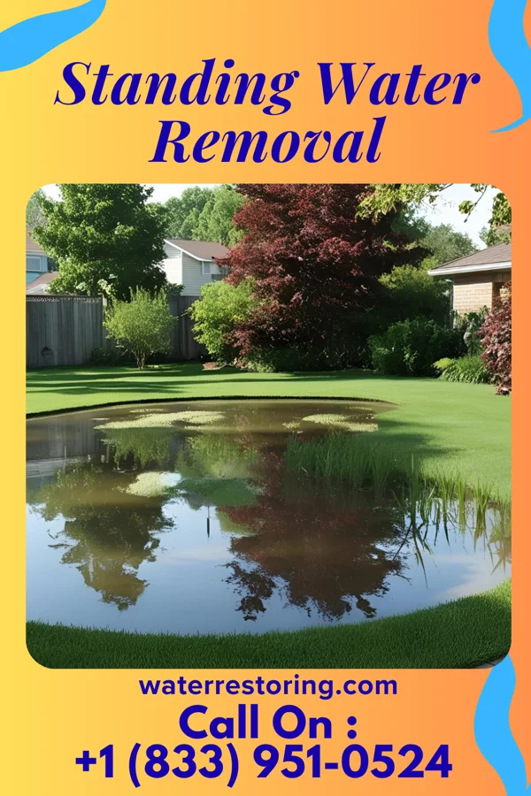 Standing Water Removal in Lewes, DE